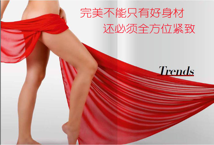 歐洲之星相關知識介紹