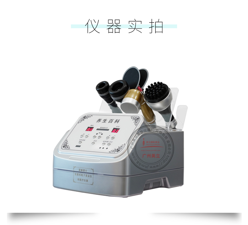 經(jīng)絡養(yǎng)生儀